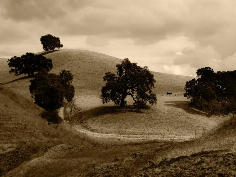 sudoku training mode screenshot 5